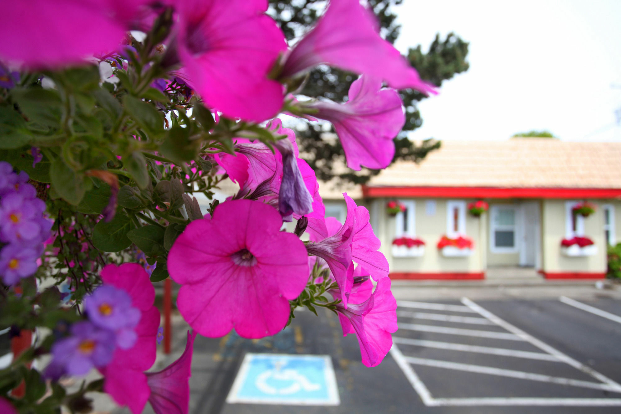 City Centre Motel By Oyo Seaside Εξωτερικό φωτογραφία
